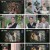 신들의 사생활 - 그리스 로마 신화 2.E08.230525.1080p.H264-F1RST