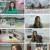 요즘 육아 금쪽같은 내 새끼.E148.230526.1080p.H264-F1RST