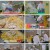 한국인의 식판.E10.230527.1080p.H264-F1RST