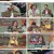 놀라운 토요일.E265.230527.1080p.H264-F1RST