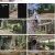 부산촌놈 in 시드니.E06.230528.1080p.H264-F1RST