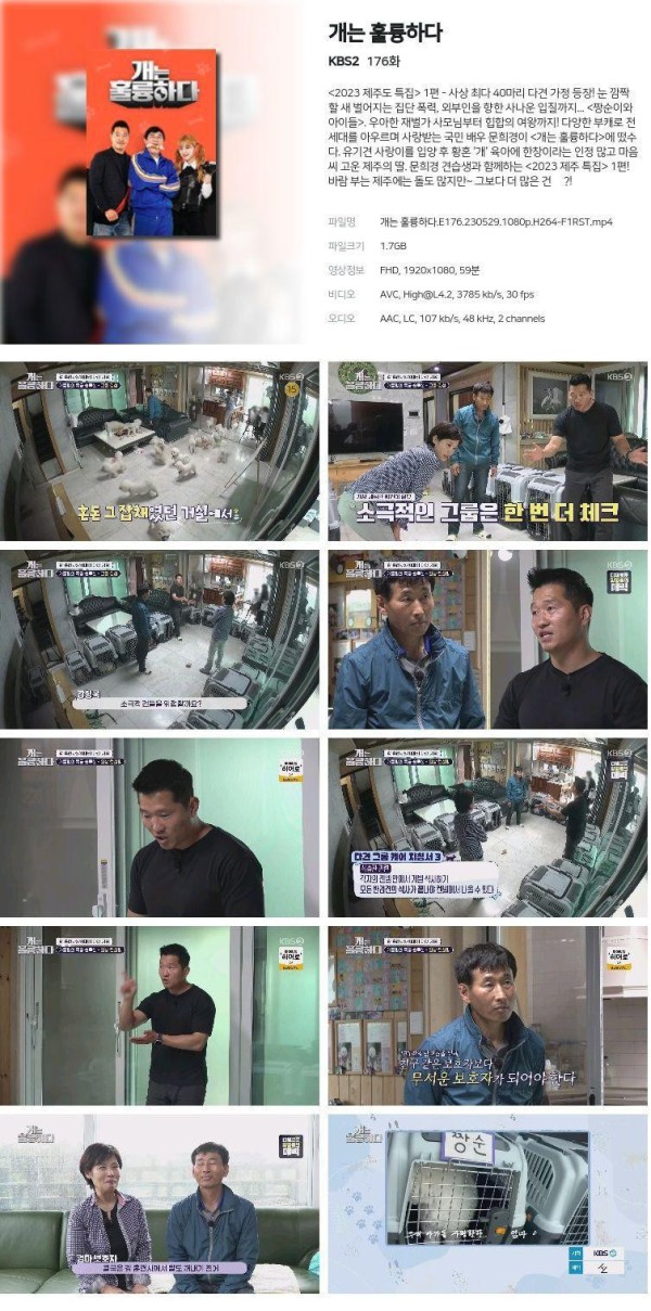 17508132852499.jpg