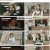 벌거벗은 세계사.E103.230613.1080p.H264-F1RST