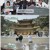 어서와 한국은 처음이지.E267.230615.720p.WANNA