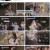 댄스가수 유랑단.E04.230615.1080p.H264-F1RST