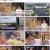 배틀트립2.E32.230617.1080p.H264-F1RST