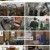 장사천재 백사장.E12.230618.1080p.H264-F1RST