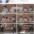 미운 우리 새끼.E348.230618.1080p.H264-F1RST