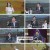 가요무대.E1804.230619.1080p.H264-F1RST