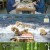 엄마의 여행 고두심이 좋아서.E60.230620.720p-NEXT