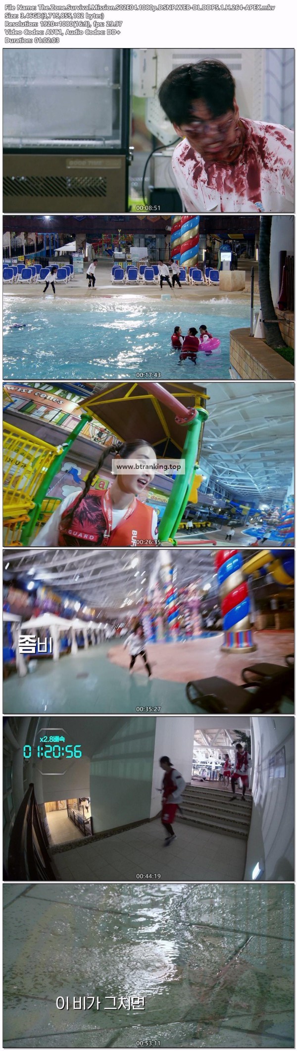 17508191232042.jpg