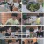 더 디저트.E05.230623.720p.H264-F1RST