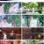뮤직뱅크.E1169.230623.1080p.H264-F1RST