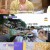 배틀트립 2.E33.230624.720p-NEXT