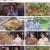 배틀트립2.E33.230624.1080p.H264-F1RST