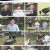 개는 훌륭하다.E179.230626.1080p.H264-F1RST