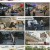부산촌놈 in 시드니.E10.230626.1080p.H264-F1RST