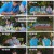 트랄랄라 브라더스.E09.230628.1080p.H264-F1RST