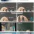 텐트 밖은 유럽 노르웨이 편.E08.230629.1080p.H264-F1RST