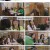 댄스가수 유랑단.E06.230629.720p.H264-F1RST