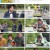 몸쓸것들S급 피지컬의 챌린지 100.E01.230630.1080p.H264-F1RST