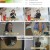 TV 동물농장.E1127.230702.720p.H264-F1RST