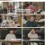 형제라면.E06.230703.1080p.H264-F1RST