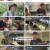 부산촌놈 in 시드니.E11.230703.1080p.H264-F1RST