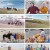 지구탐구생활.E09.230704.1080p.H264-F1RST