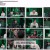 마녀사냥 2023.Witch Hunt 2023.E01.1080p.TG-Sniper