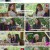 댄스가수 유랑단.E08.230713.1080p.H264-F1RST