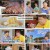 맛있는 녀석들.E437.230714.1080p.H264-F1RST