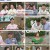 속풀이쇼 동치미.E556.230715.1080p.H264-F1RST