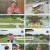 런닝맨.E664.230723.1080p.H264-F1RST
