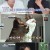 개는 훌륭하다.E184.230724.720p-NEXT