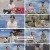 다시 갈 지도.E69.230727.1080p.H264-F1RST