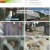TV 동물농장.E1131.230730.1080p.H264-F1RST