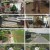 회장님네 사람들.E42.230731.1080p.H264-F1RST