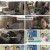 어서와~ 한국은 처음이지.E310.230824.1080p.H264-F1RST