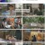 알쓸별잡 (알아두면 쓸데없는 지구별 잡학사전).E04.230824.1080p.H264-F1RST
