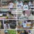 요즘 육아 금쪽같은 내 새끼.E160.230825.1080p.H264-F1RST