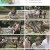 몸쓸것들S급 피지컬의 챌린지 100.E09.230825.1080p.H264-F1RST