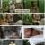 집에 있을걸 그랬어.E08.230825.1080p.H264-F1RST