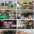 택배는 몽골몽골.E02.230825.1080p.H264-F1RST