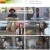TV 동물농장.E1135.230827.1080p.H264-F1RST