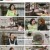 알토란.E452.230827.1080p.H264-F1RST