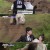 2억9천 - 결혼전쟁.E09.230827.720p-NEXT