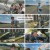 4춘기.E02.230828.1080p.H264-F1RST