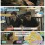 요즘 육아 금쪽같은 내 새끼.E161.230901.1080p.H264-F1RST