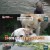 TV 동물농장.E1136.230903.720p-NEXT